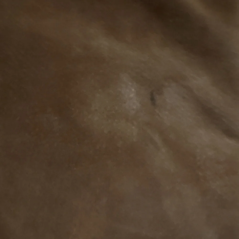 Vintage Gallery Brown Sued Leather Jacket with Cream Accents - Picture 10 of 11